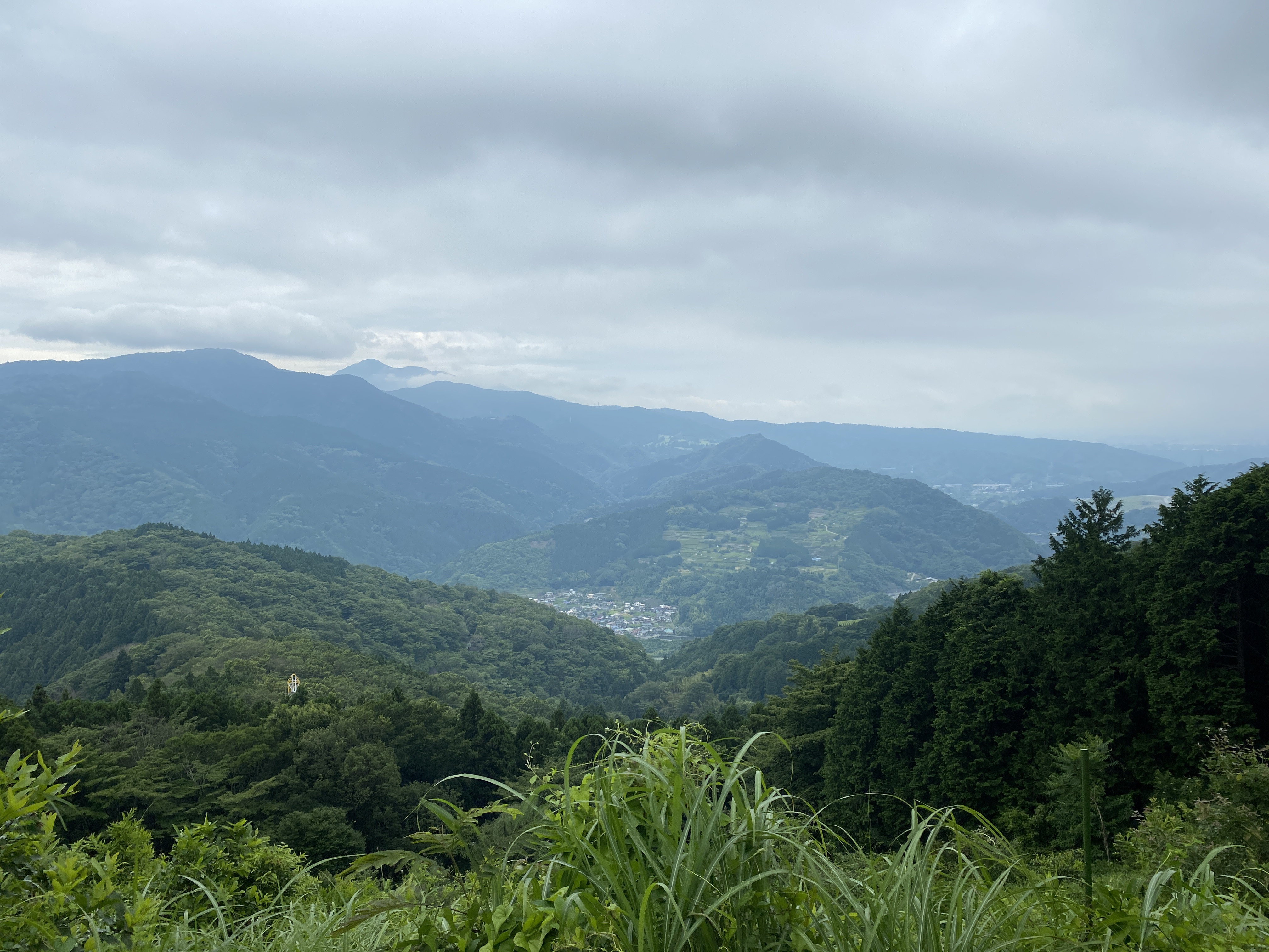 イラスト、写真、大野山
